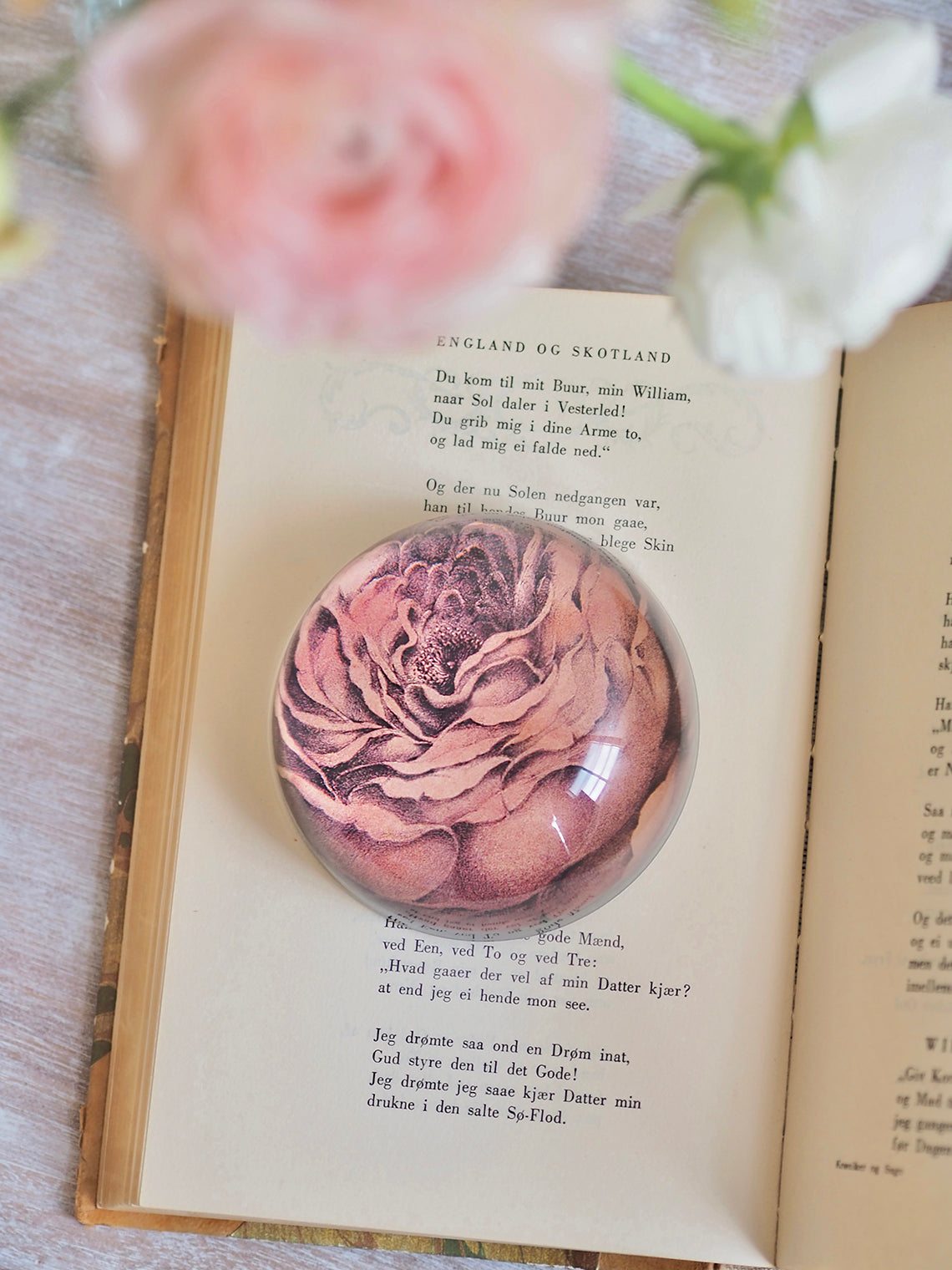 Rose of May Dome Paperweight