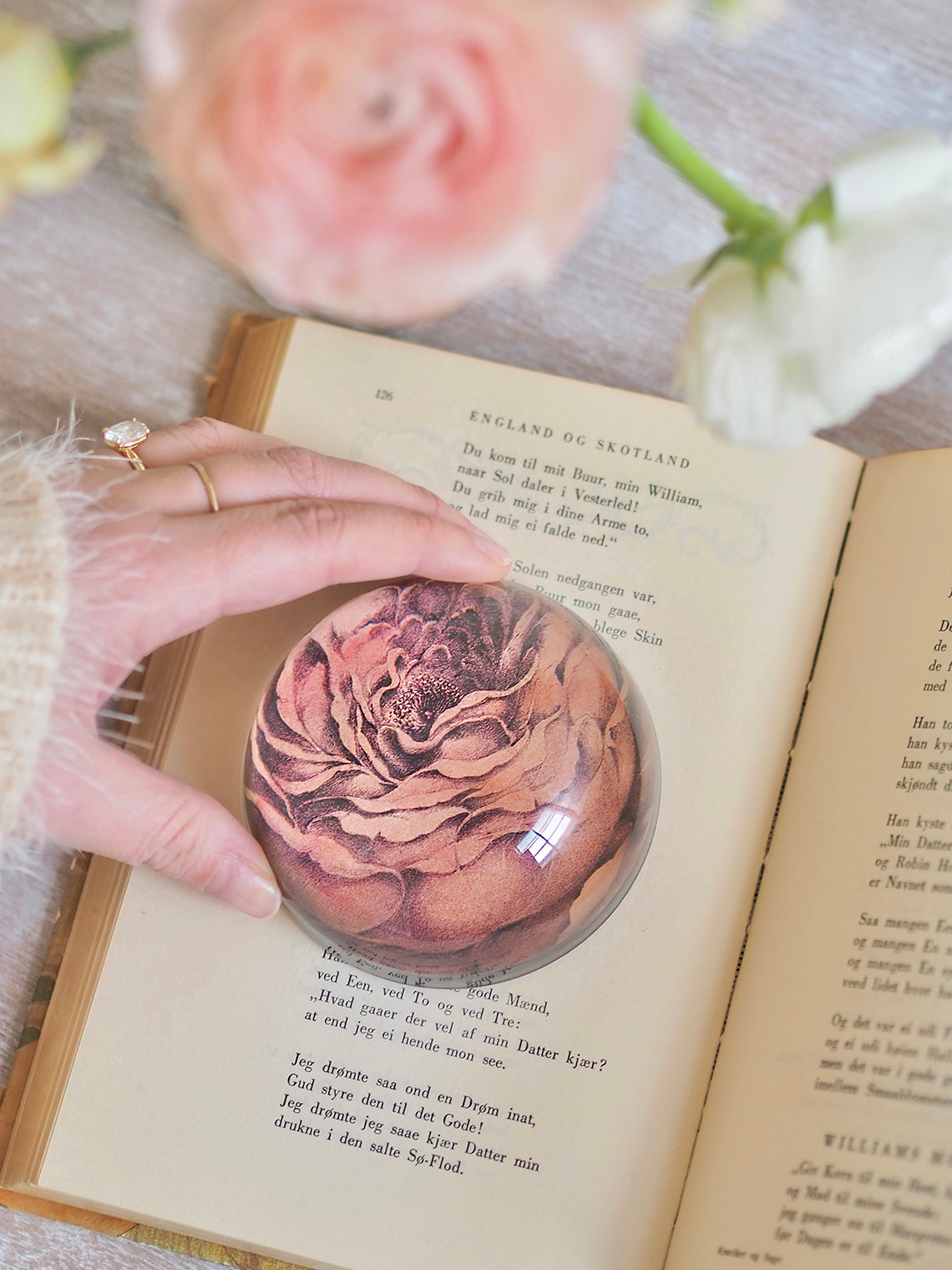 Rose of May Dome Paperweight
