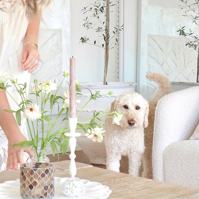 Homebody Gifts