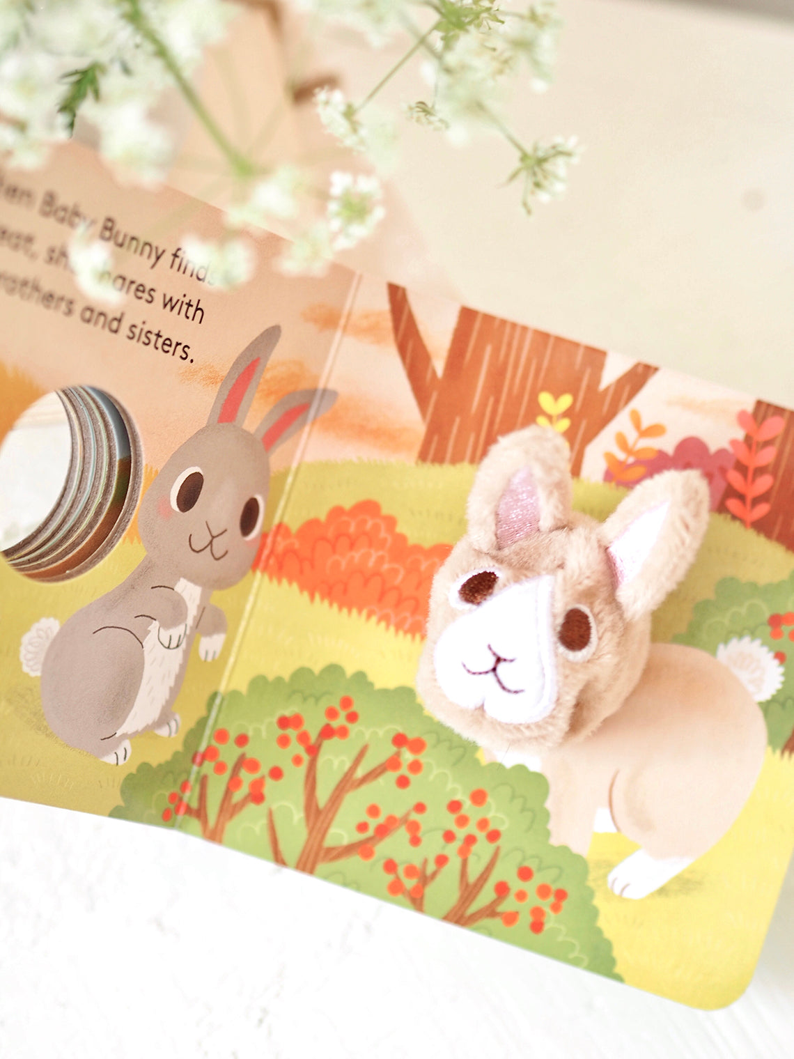 Baby Bunny Finger Puppet Book