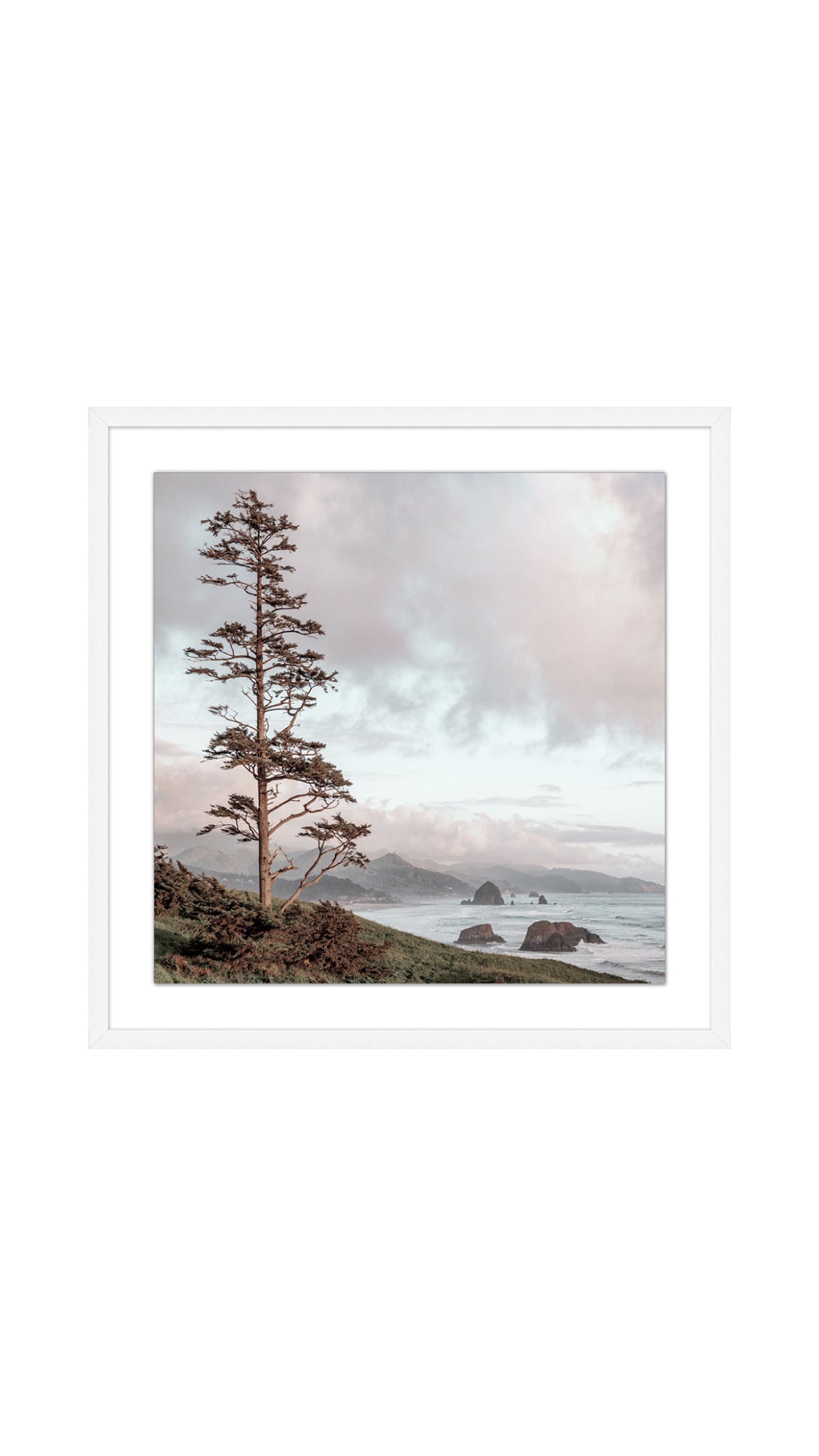 Northwest Fir Matte White Frame | 37.75" x 37.75"