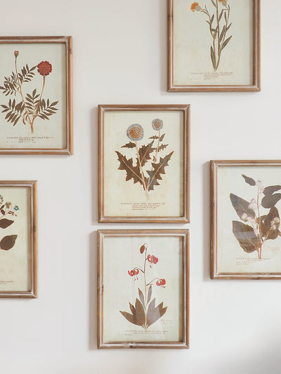 Botanicals Framed Prints | 10" x 13" - The Cross Decor & Design