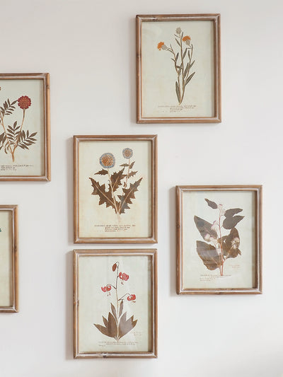 Botanicals Framed Prints | 10" x 13" - The Cross Decor & Design