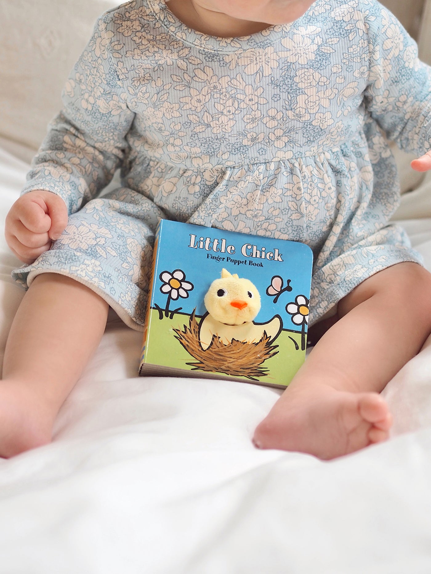 Little Chick Finger Puppet Book