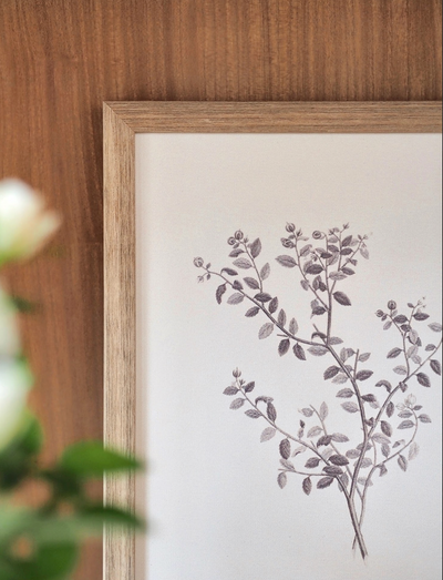 Botanical Sketch Framed Canvas Print | 11x14 - The Cross Decor & Design