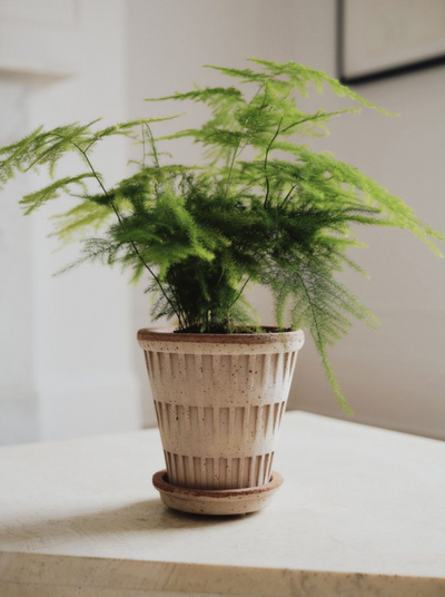 Pantheon Pot - The Cross Decor & Design