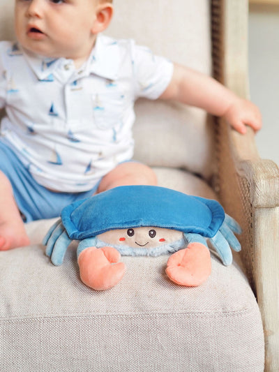 Shy Crab