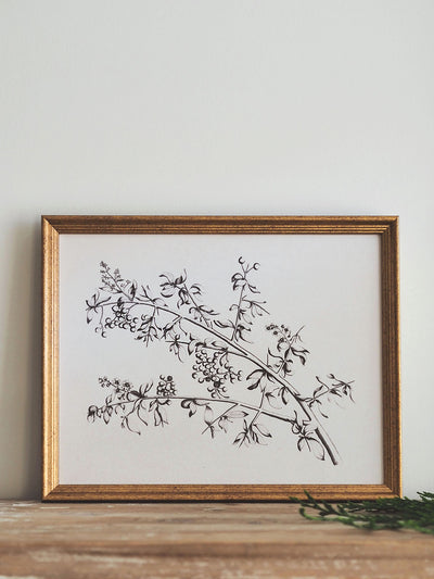 Winter Berries Sketch Framed Canvas Print | 11x14