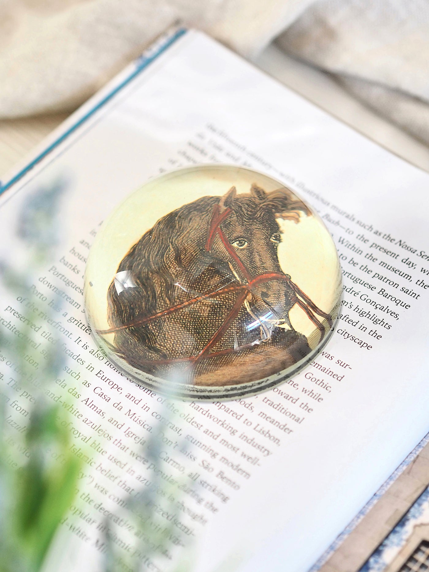 Terre a Terre a Droite (Horseman) Dome Paperweight