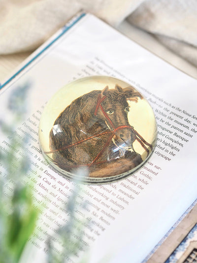 Terre a Terre a Droite (Horseman) Dome Paperweight