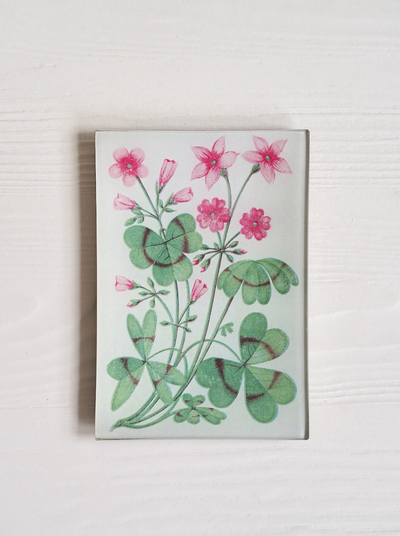 Clover Cream Mini-Tray - The Cross Decor & Design
