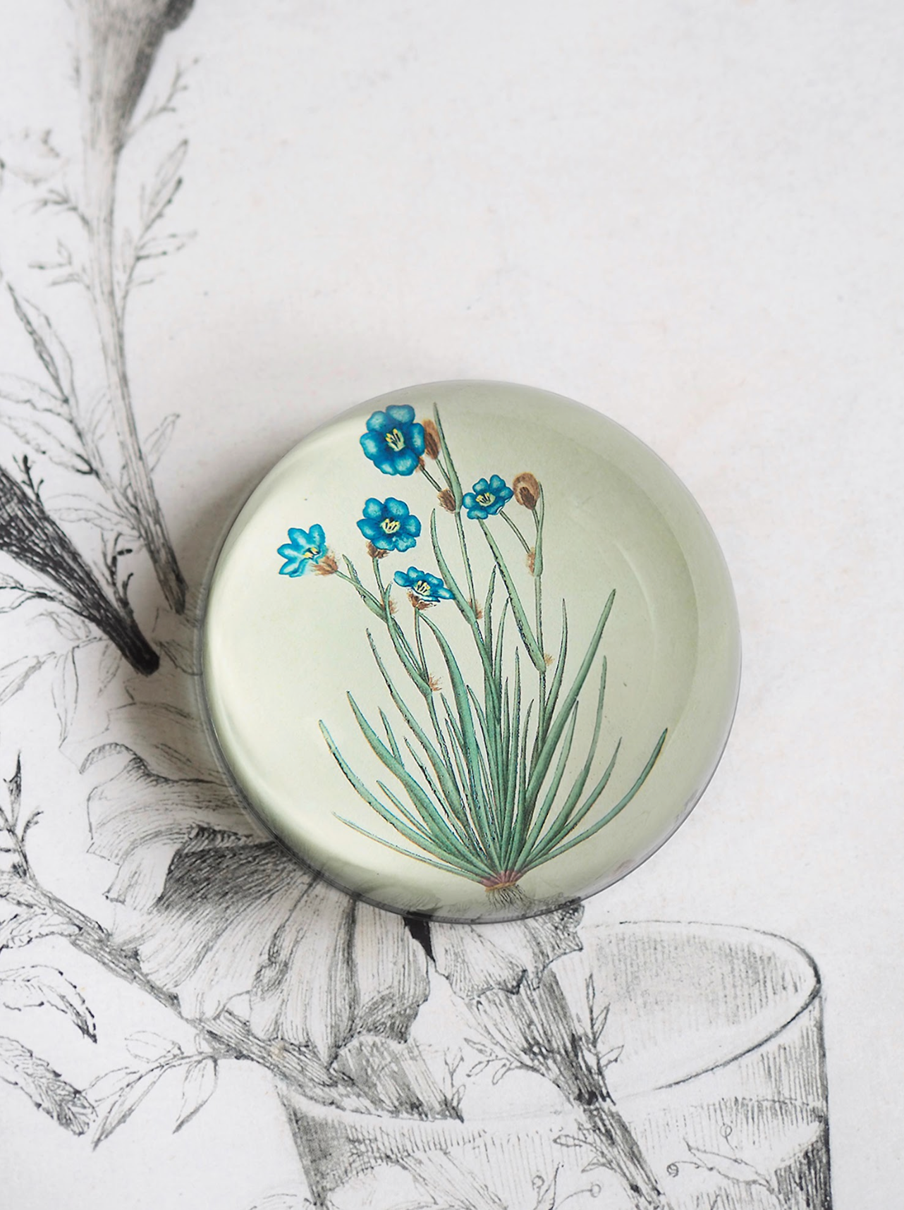 Aristia Oyanea Dome Paperweight - The Cross Decor & Design
