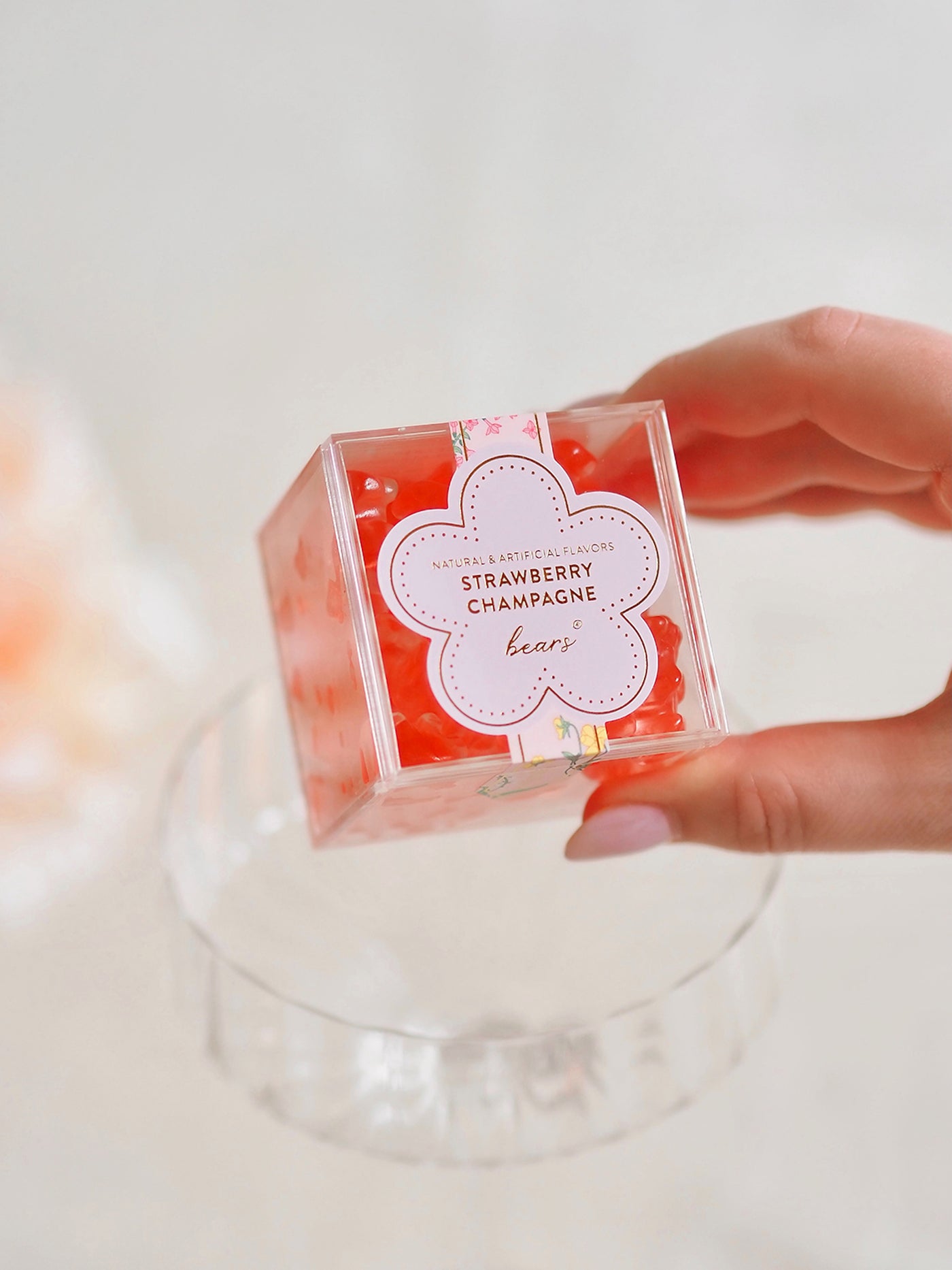 La Vie En Rose Strawberry Champagne Bears
