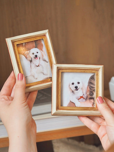 Lettie Mini Frame