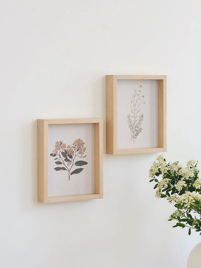 White Scabious Framed Print 8.5x7"