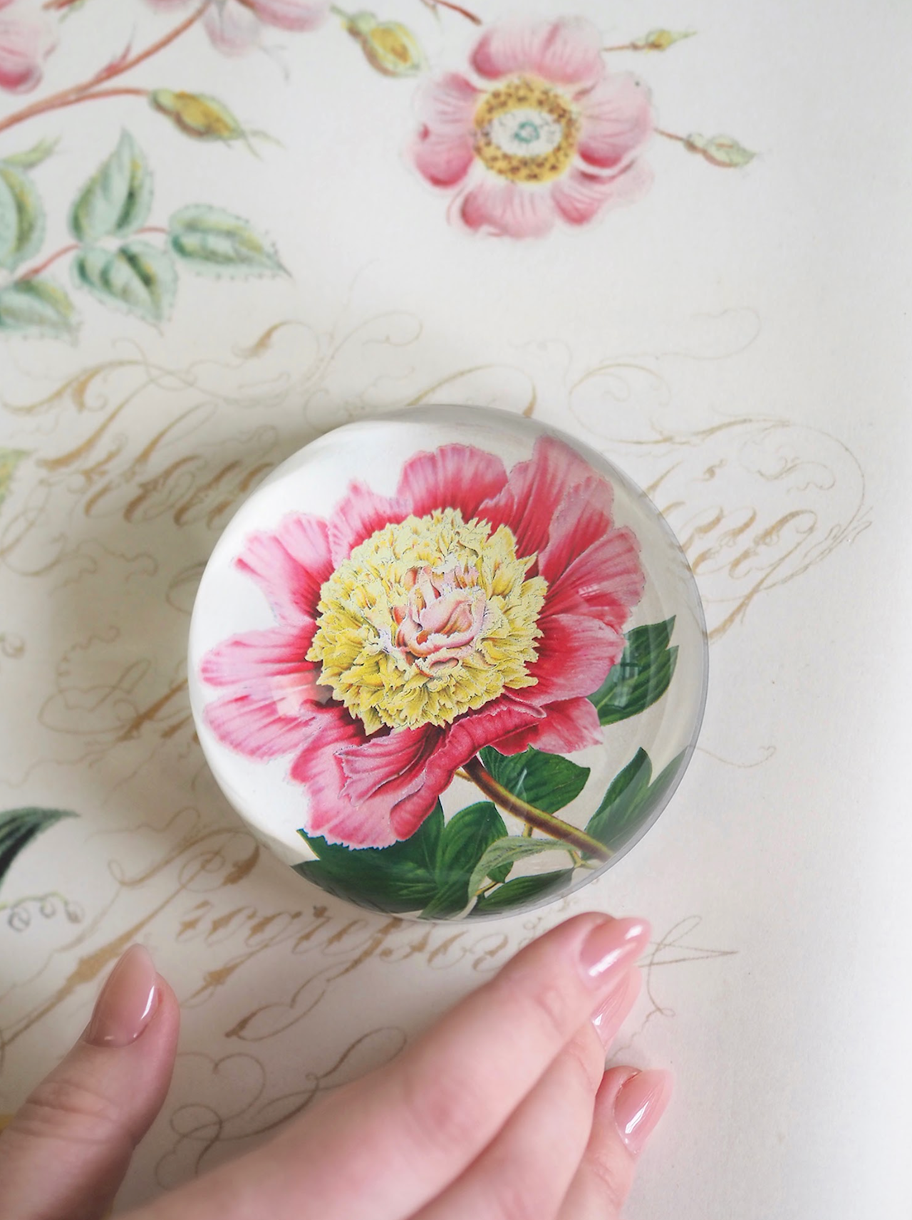 Peony Albifl Dome Paperweight - The Cross Decor & Design