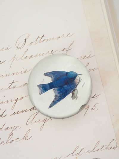 Pudgy (Bluebird) Dome Paperweight - The Cross Decor & Design
