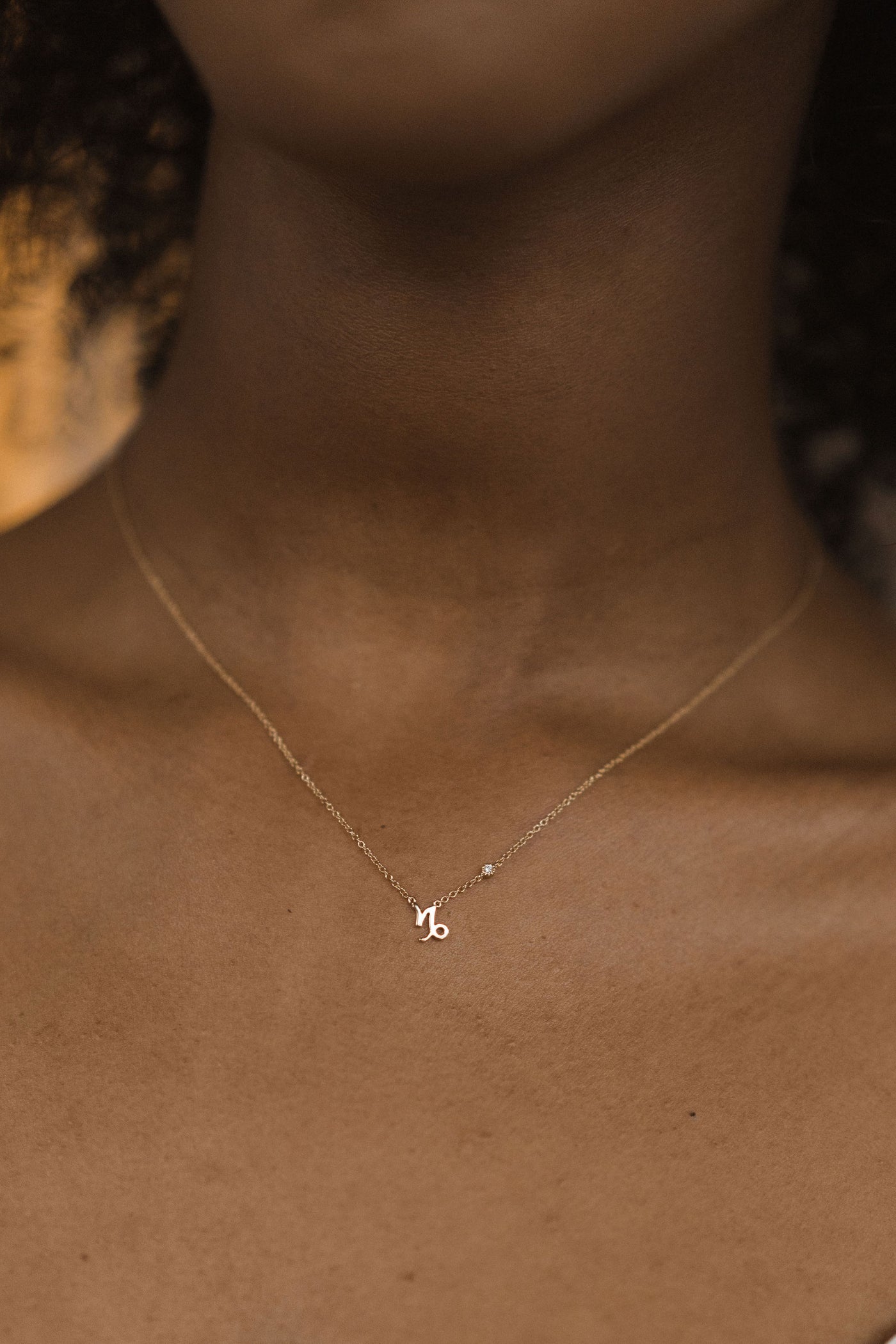 Petite Capricorn Necklace | 14k Gold
