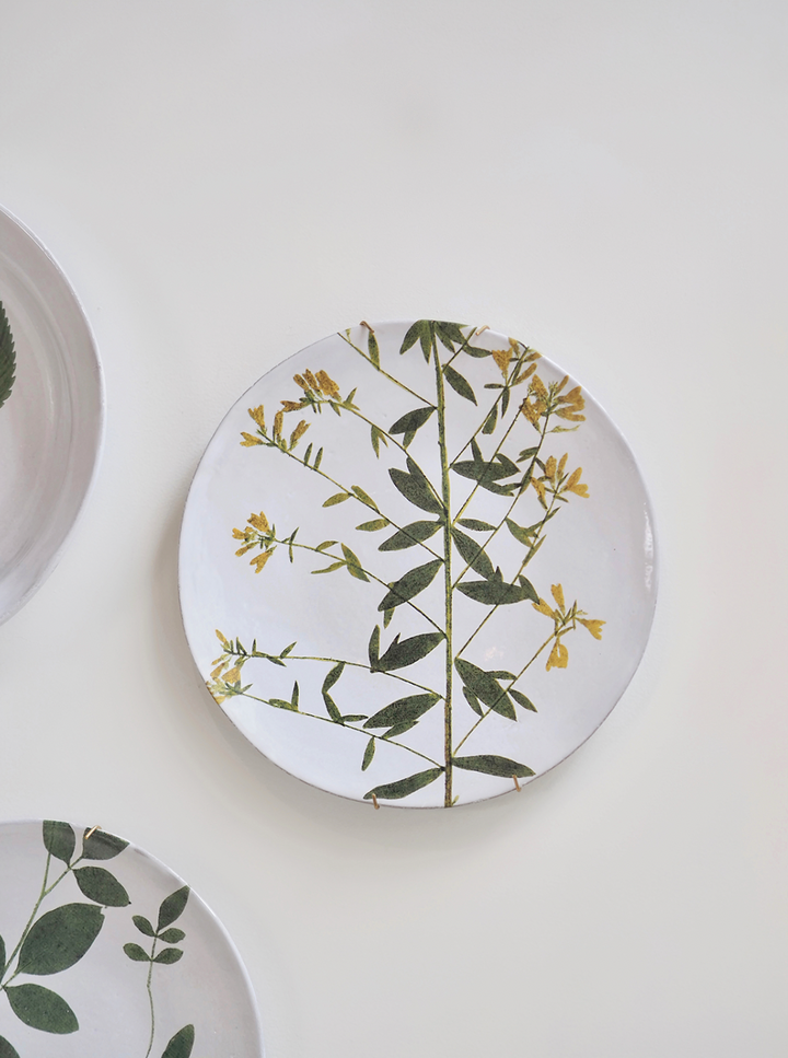 Astier de Villatte×John Derian 新品未使用 Astier de Villatte | Genista John Derian Plate | The Cross