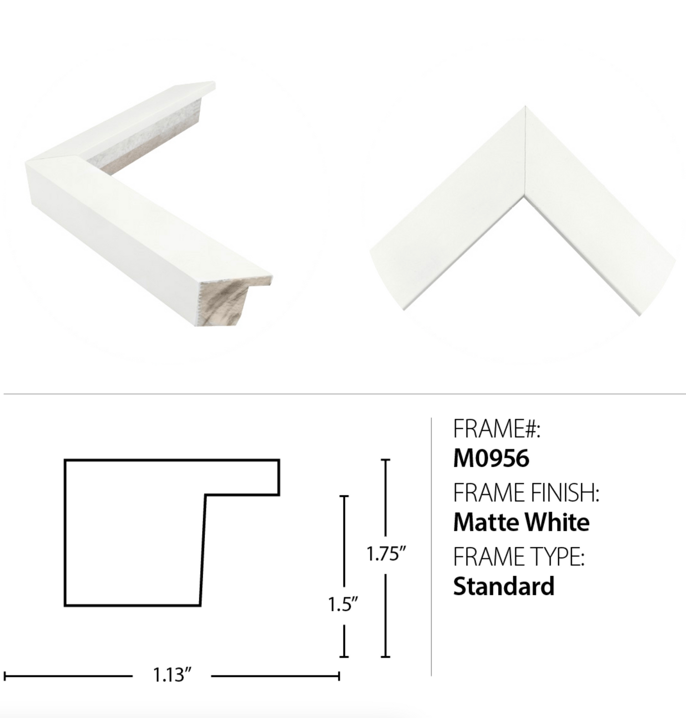 Northwest Fir Matte White Frame | 37.75" x 37.75"