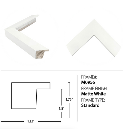 Northwest Fir Matte White Frame | 37.75" x 37.75"