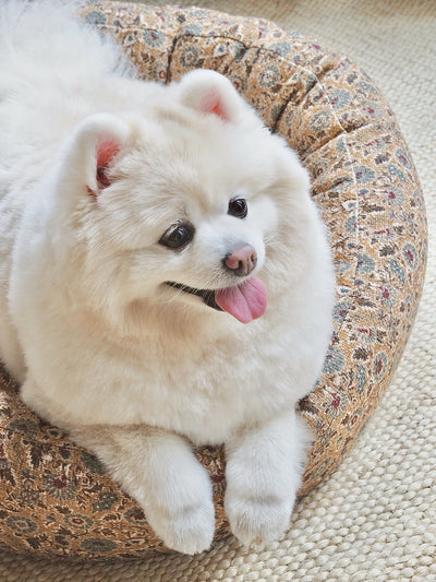 Coco Slub Dog Bed - The Cross Decor & Design
