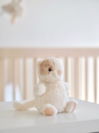 Nala Kitty - The Cross Decor & Design