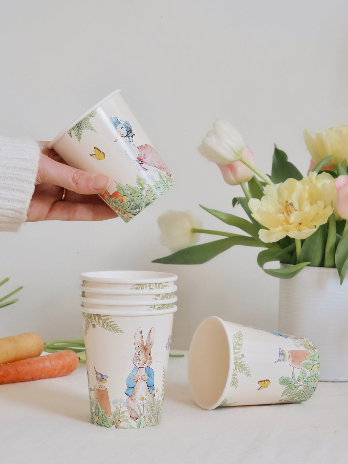 Peter Rabbit Garden Cups