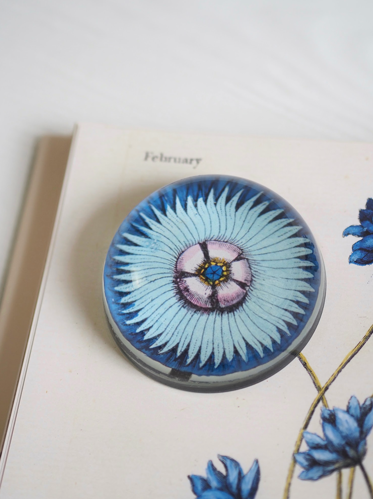 Napoleona Dome Paperweight - The Cross Decor & Design
