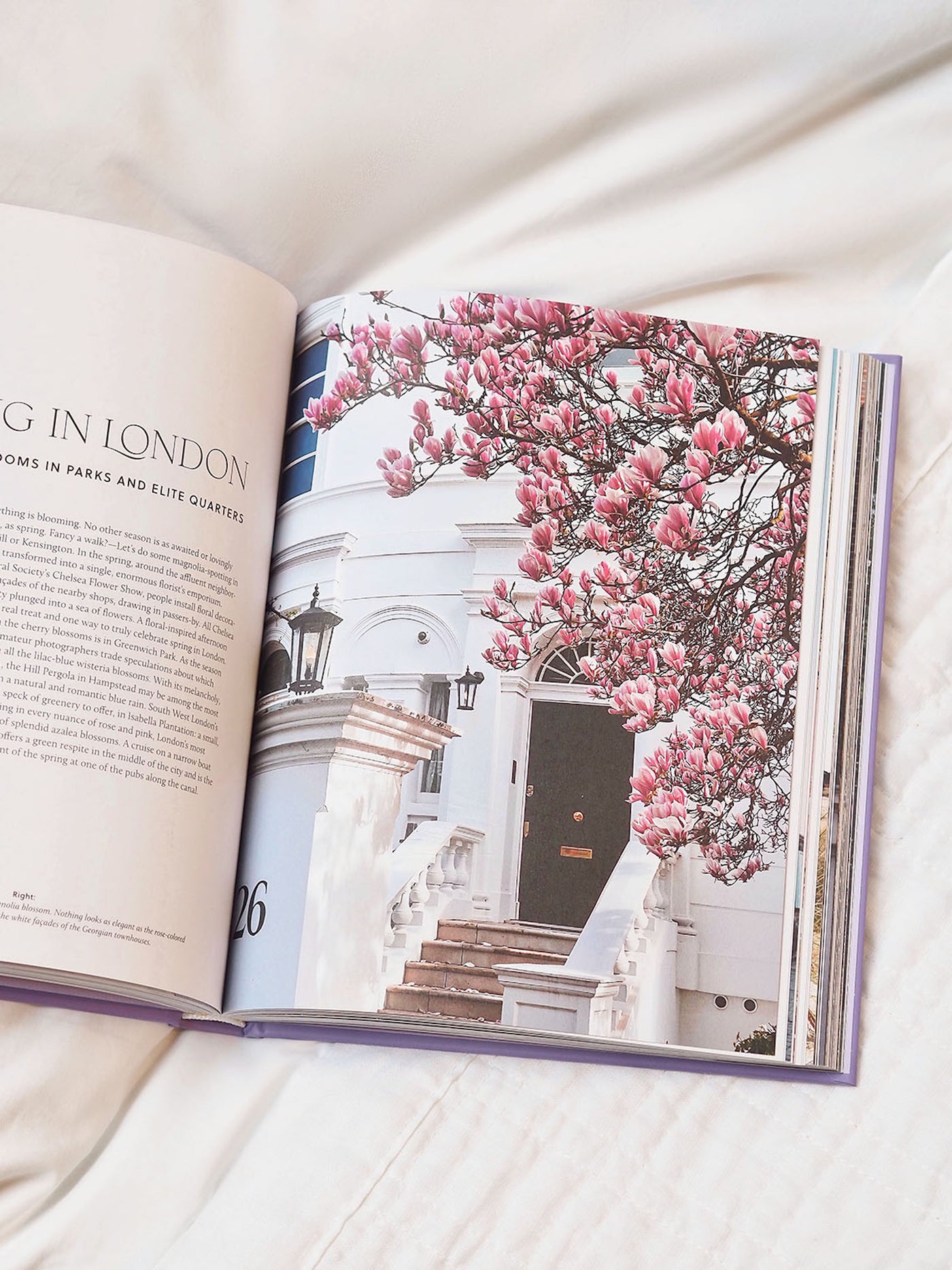 Charming England Book