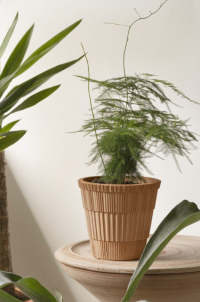 Atlas Pot 21cm / 8" - The Cross Decor & Design