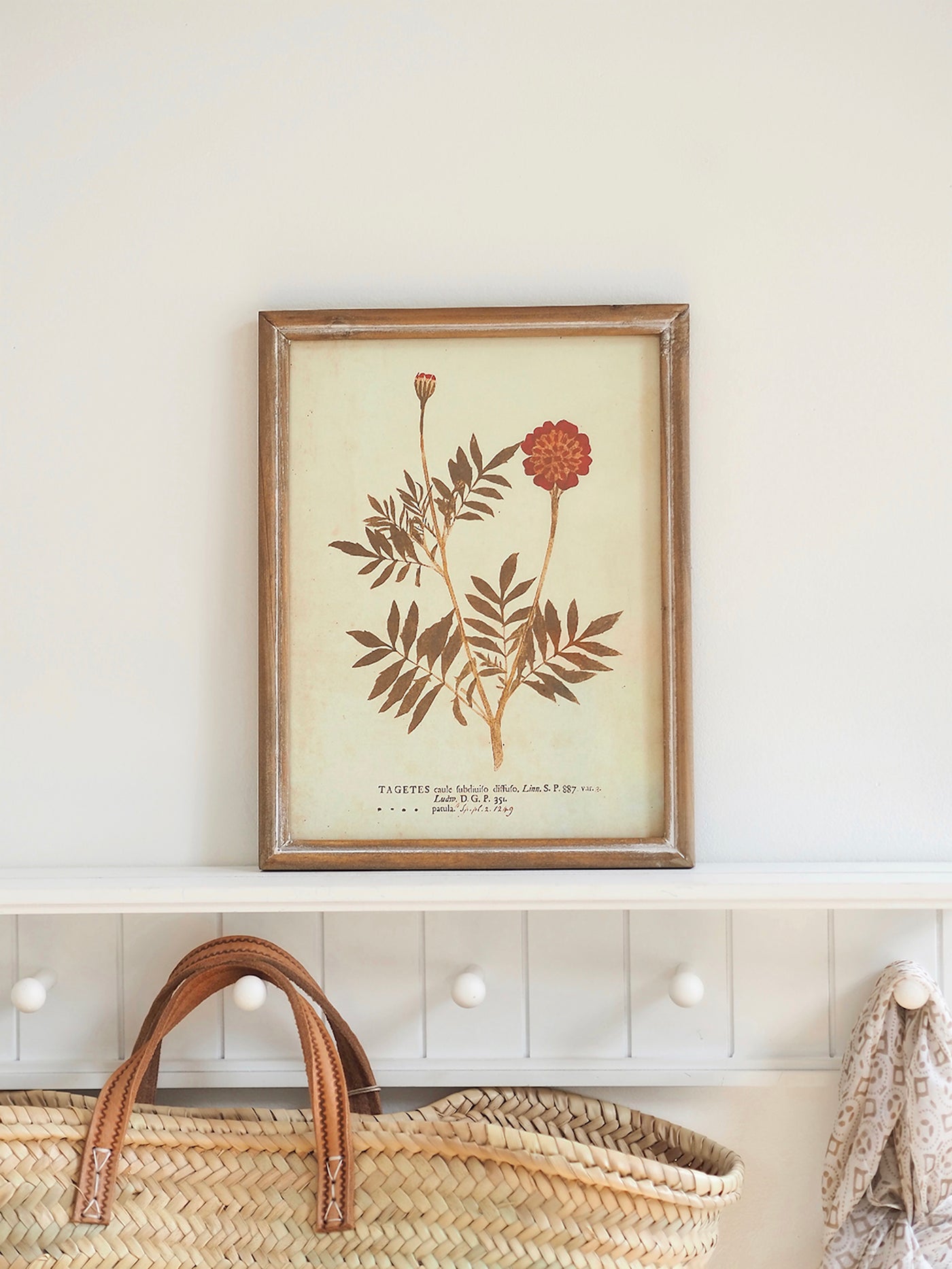 Botanicals Framed Prints | 10" x 13" - The Cross Decor & Design