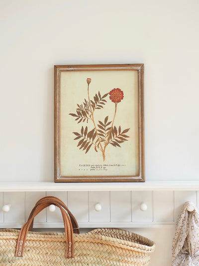Botanicals Framed Prints | 10" x 13" - The Cross Decor & Design