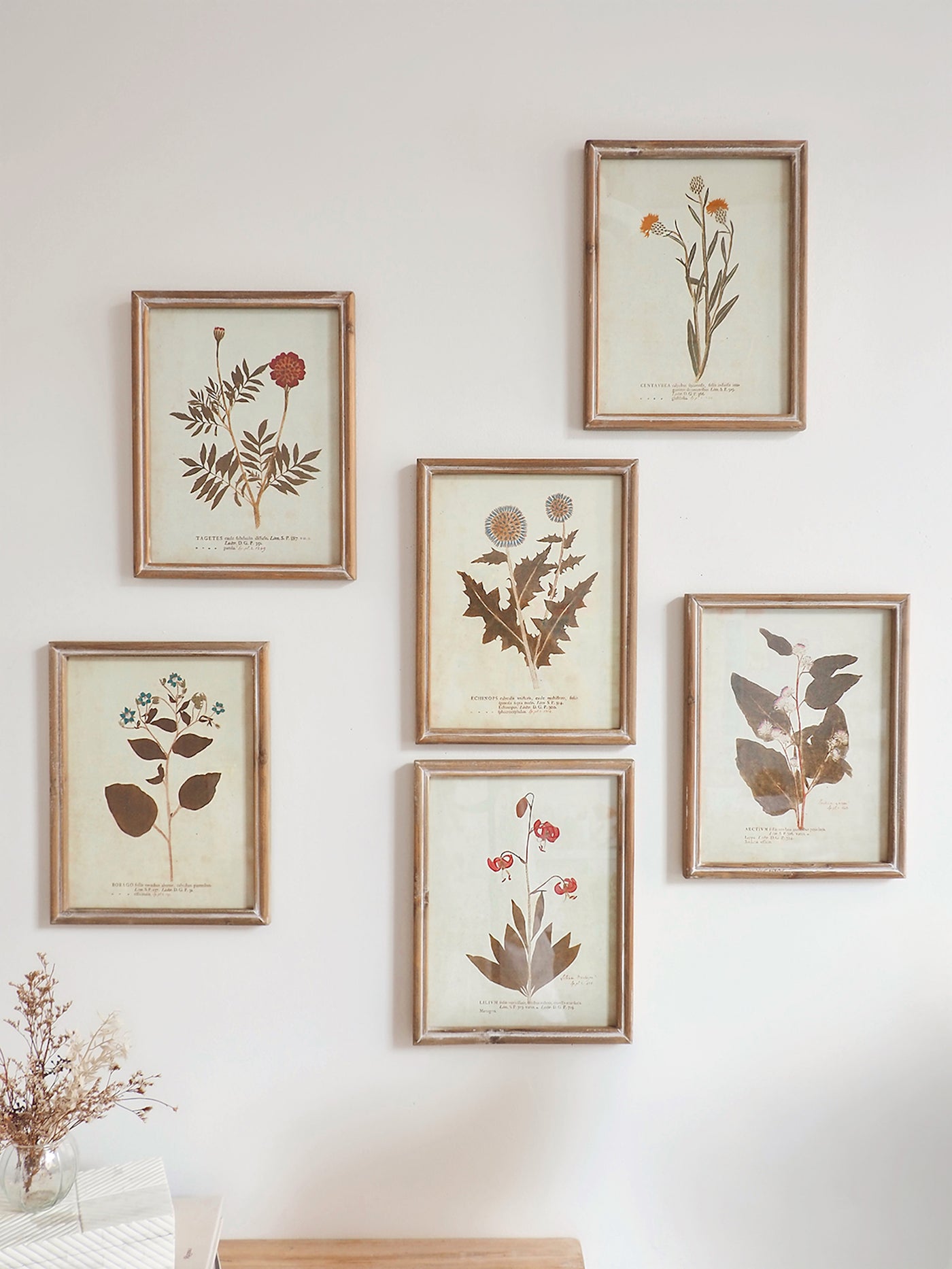 Botanicals Framed Prints | 10" x 13" - The Cross Decor & Design