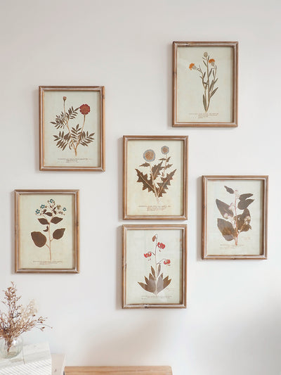 Botanicals Framed Prints | 10" x 13" - The Cross Decor & Design