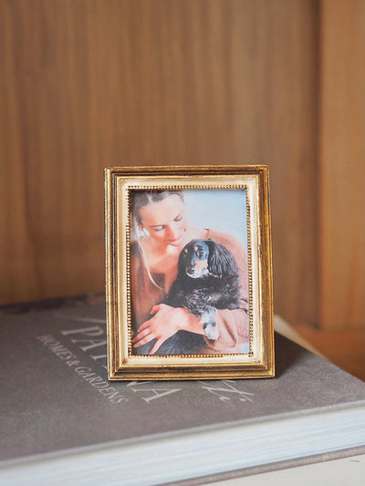 Sophie Antique Mini Frame