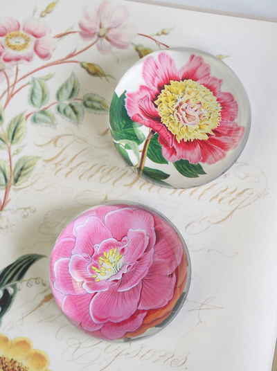 Peony Albifl Dome Paperweight - The Cross Decor & Design