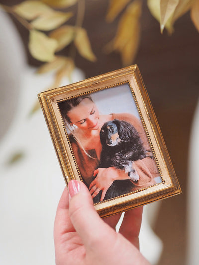 Sophie Antique Mini Frame