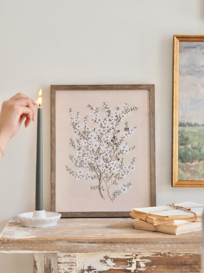 Botanical Manuka Framed Canvas Print | 11x14 - The Cross Decor & Design