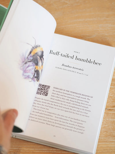 A Year of Garden Bees & Bugs Book - The Cross Decor & Design