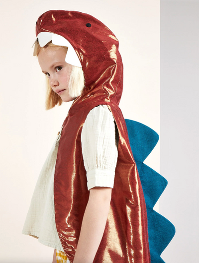 Dinosaur Dress Up Age 3-6 Years
