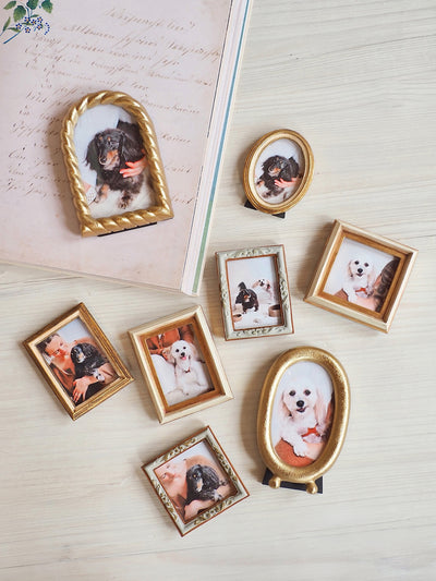 Brushed Brass Oval Mini Frame 3x4
