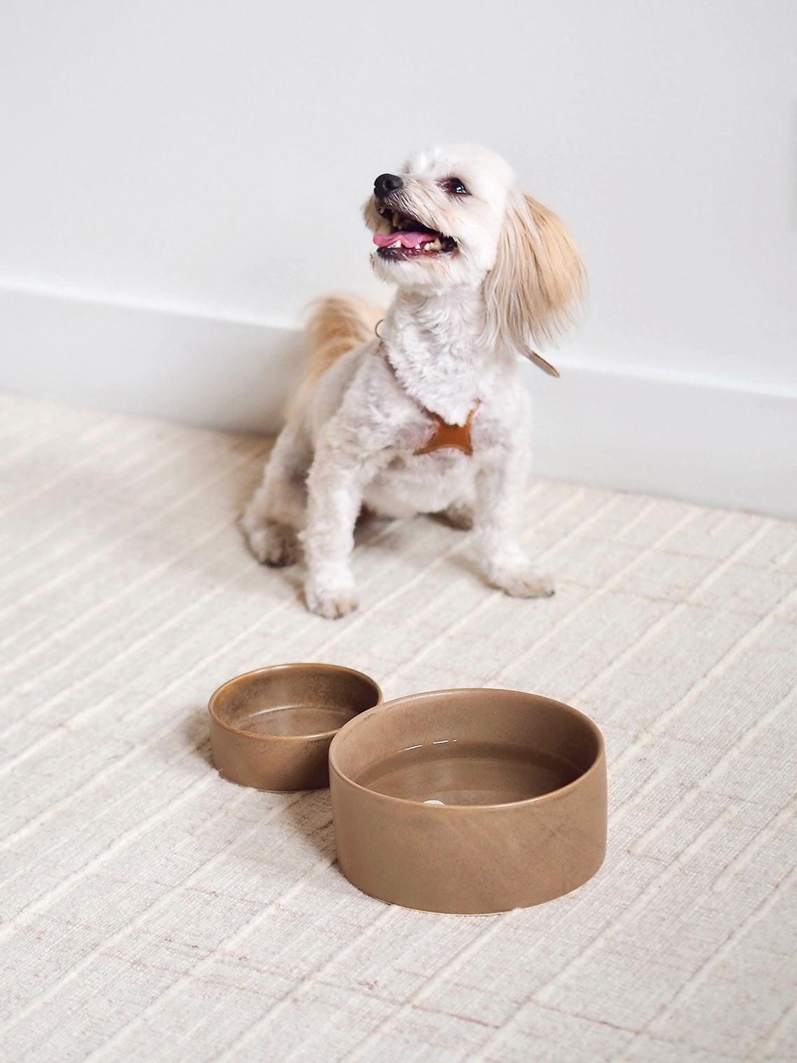 Bonely Brown Pet Bowls - The Cross Decor & Design