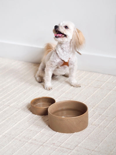 Bonely Brown Pet Bowls - The Cross Decor & Design