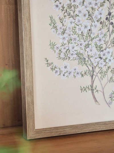 Botanical Manuka Framed Canvas Print | 11x14 - The Cross Decor & Design