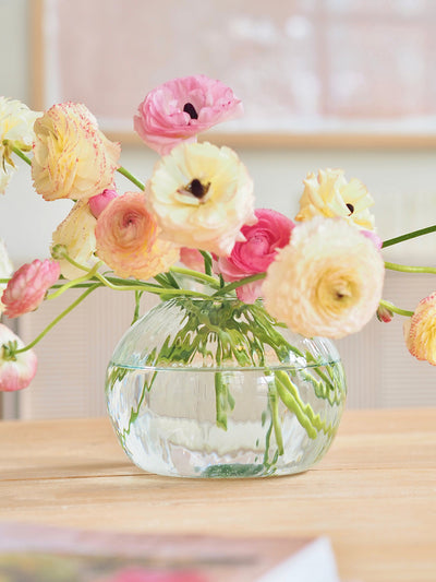 Canopy Seed Vase | Round