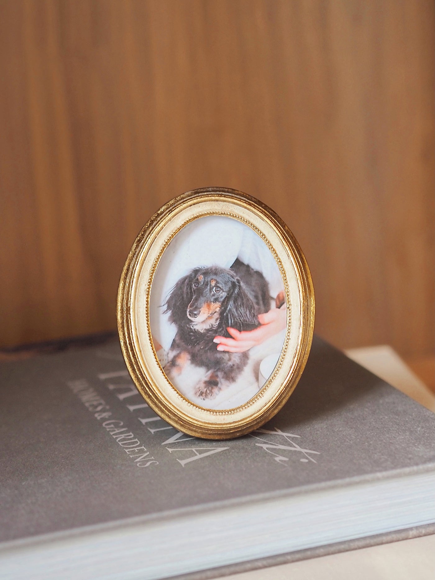 Sophie Antique Mini Frame