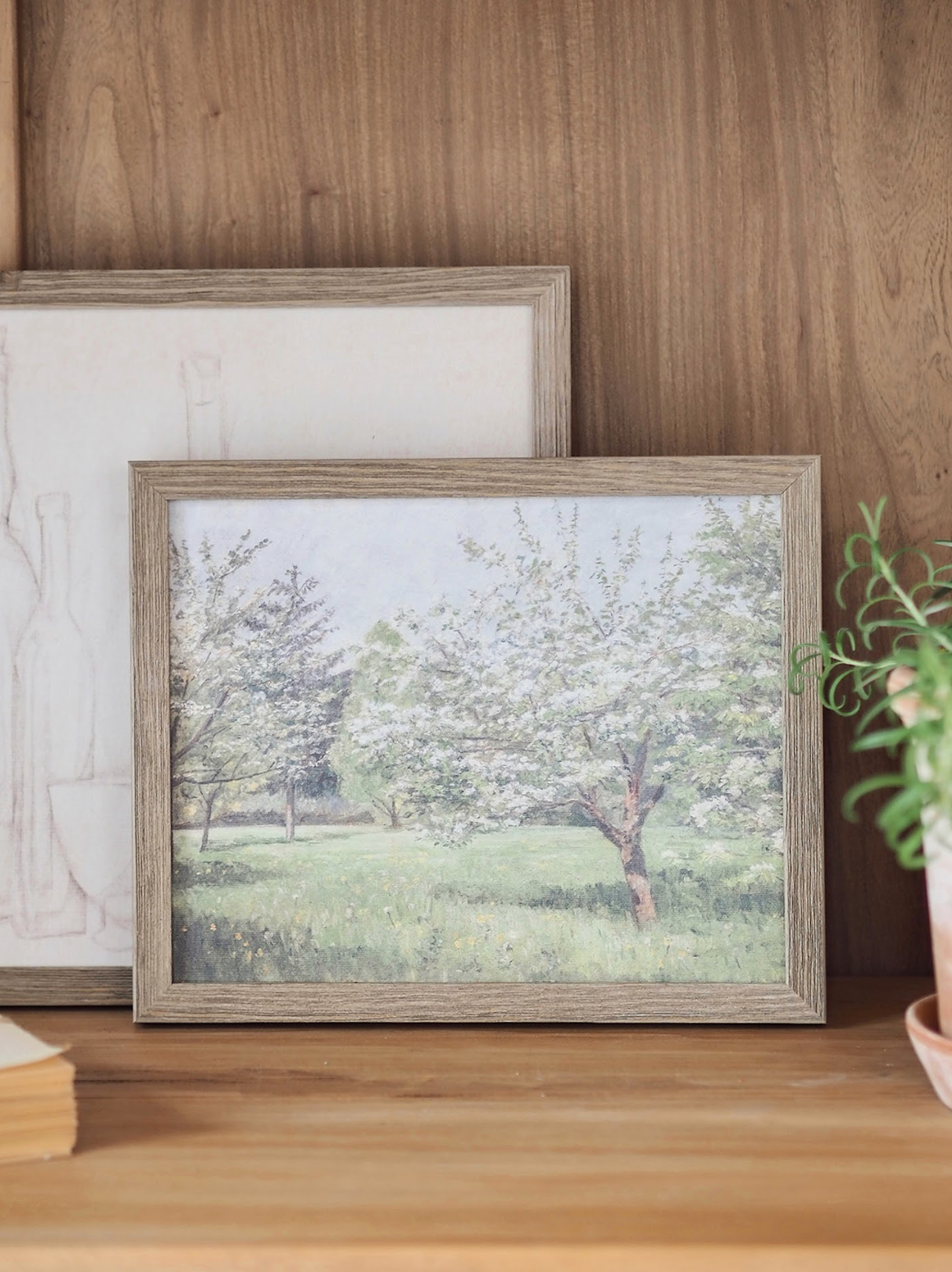 Cherry Blossom Trees Framed Canvas Print - The Cross Decor & Design