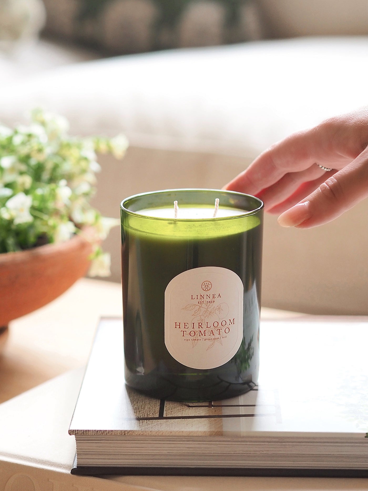 Heirloom Tomato 2 Wick Candle
