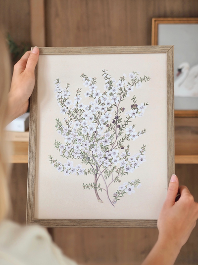 Botanical Manuka Framed Canvas Print | 11x14 - The Cross Decor & Design